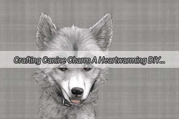 Crafting Canine Charm A Heartwarming DIY Project to Bring Your Furry Friend to Life